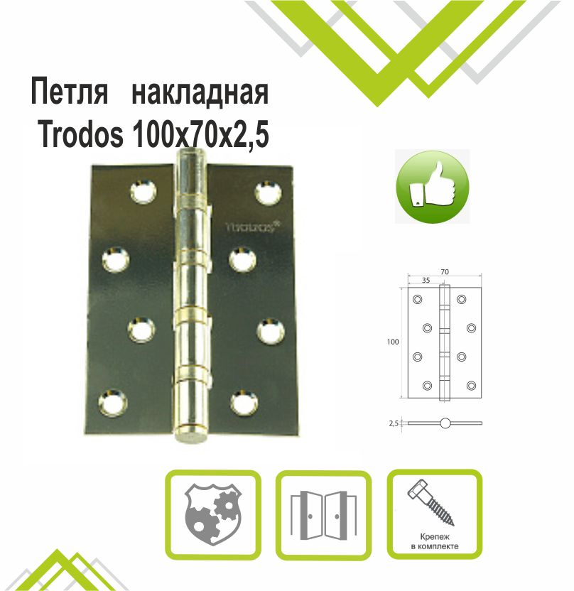 Петля накладная Trodos 100х70х2,5 GP золото, флоупак