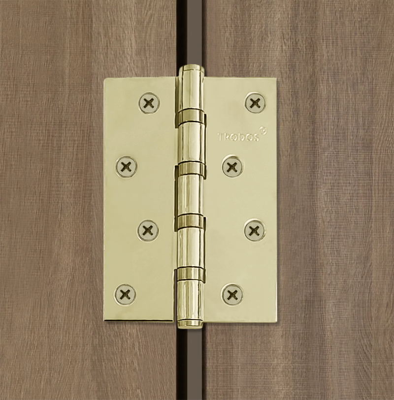 Петля накладная Trodos 100х70х2,5 GP золото, флоупак