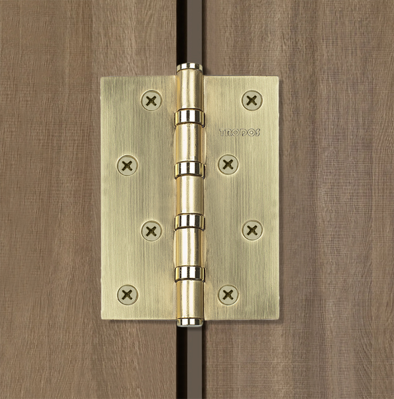 Петля накладная Trodos 100х70х2,5 SB золото матовый