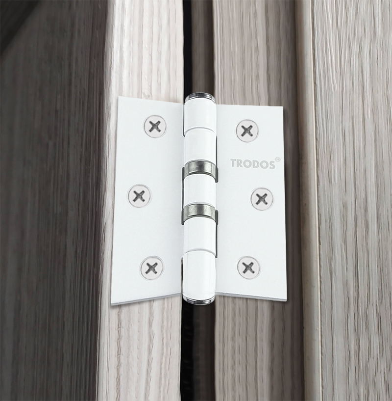 Петля накладная Trodos 75х62х2,5 WW белый 