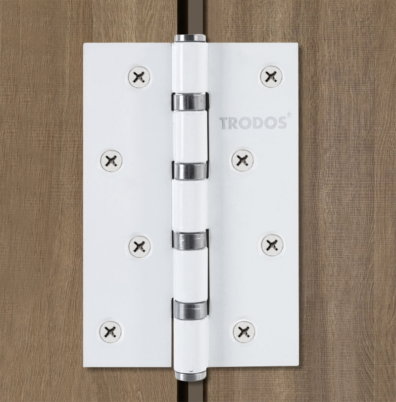 Петля накладная Trodos 100х70х2,5 WW белый 